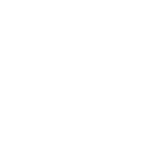 NWI Customs