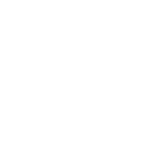 SIG Auto Detailing